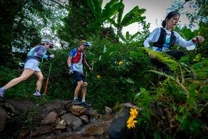 BIB: 1382, 1439
                            <button type="button" onclick="openModal(15974643)" class="btn btn-primary btn-sm float-right btn-popup" data-toggle="modal" data-target=".modal-high-quality">
                        <i class="fas fa-shopping-cart"></i> Add to Cart
                    </button>
                                            <button type="button" onclick="isThisMe(15974643, true)" class="btn btn-success btn-sm float-right btn-popup btn-isme hidden" data-toggle="tooltip" data-placement="bottom" title="นี่คือรูปของคุณใช่ไหม คลิกที่นี่เพื่อเอาเข้าอัลบั้ม">
                        <i class="fas fa-plus"></i> Add to album
                    </button>
                    <button type="button" onclick="isThisMe(15974643, false)" class="btn btn-warning btn-sm float-right btn-popup btn-isnotme hidden">
                        <i class="fas fa-ban"></i> Remove from album
                    </button>